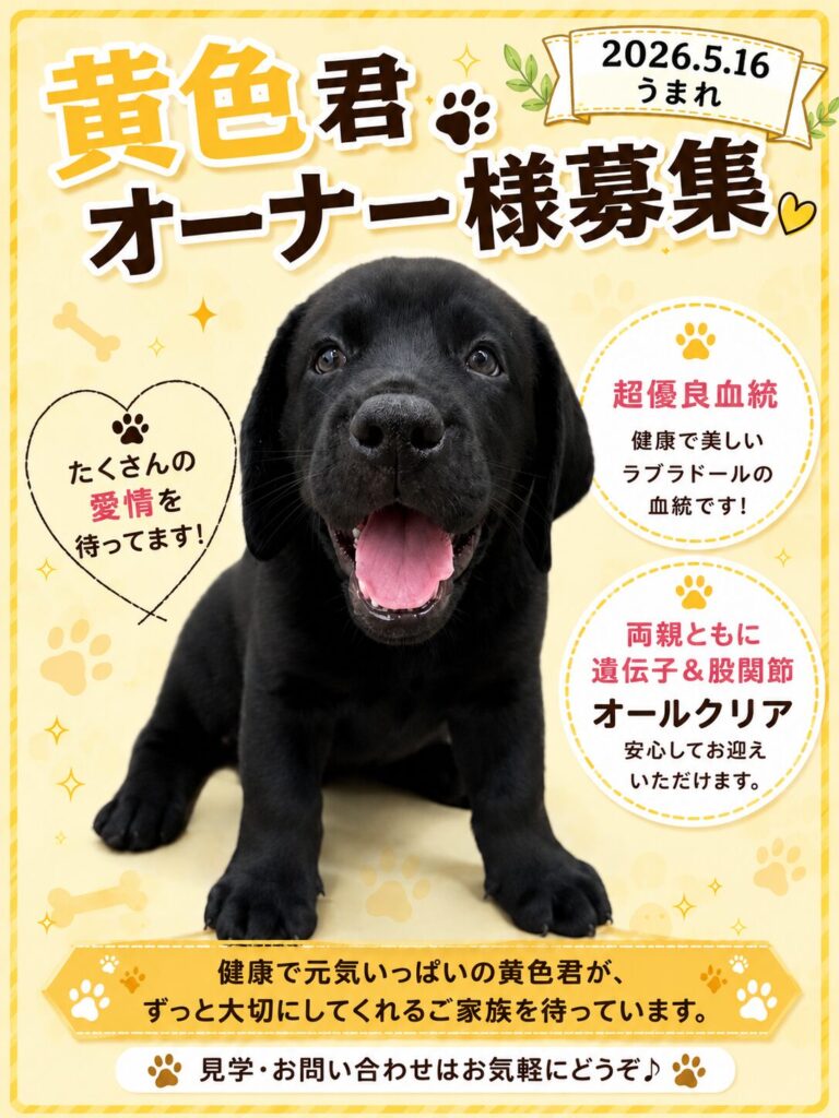 オーナー様募集
